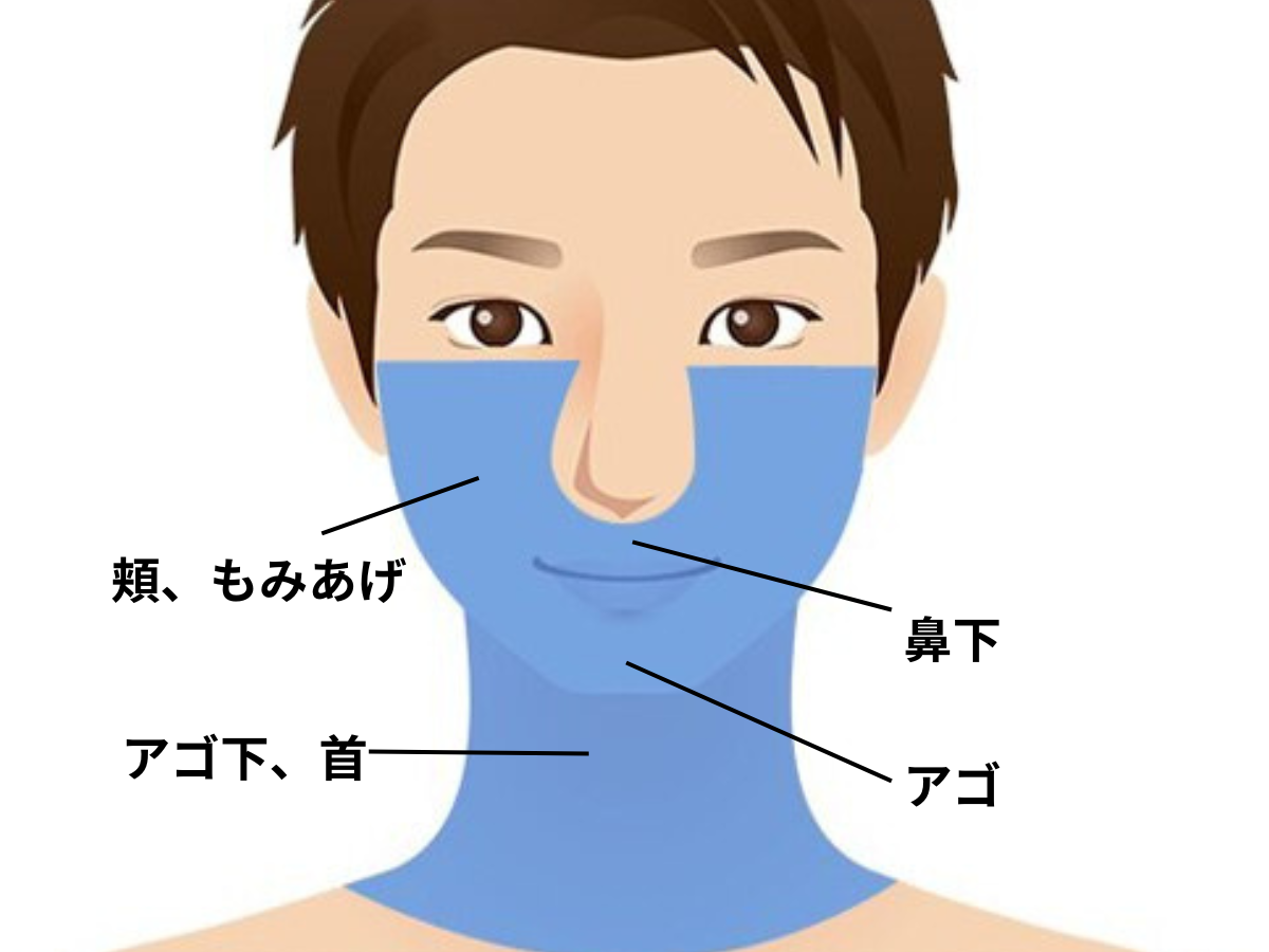 ヒゲ全体の施術範囲